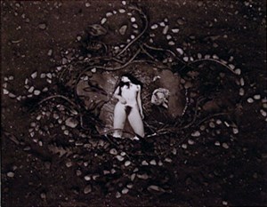 Image description is not available for 1996.092